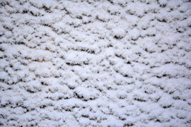 Hóra ébredtünk karácsony első napján 12.25.