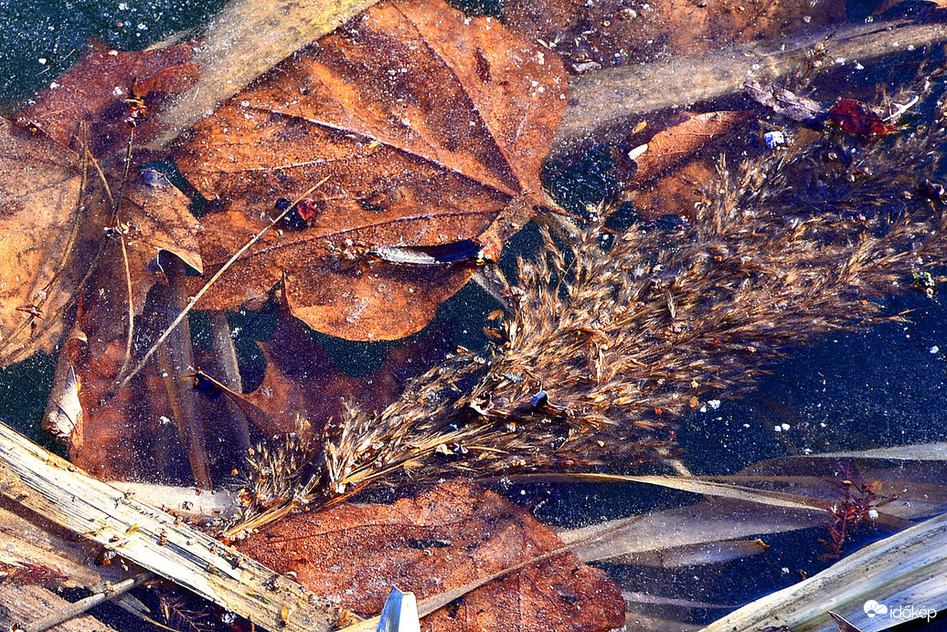 Jégbe zárt világ 01.03.