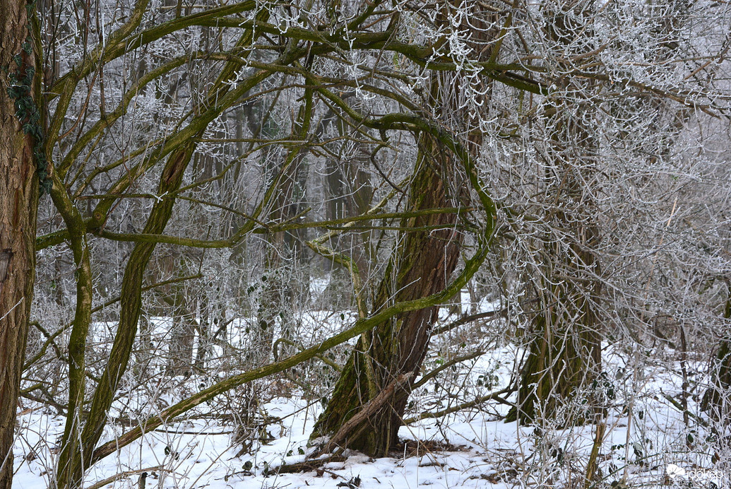Szív a zúzmarában 01.16.