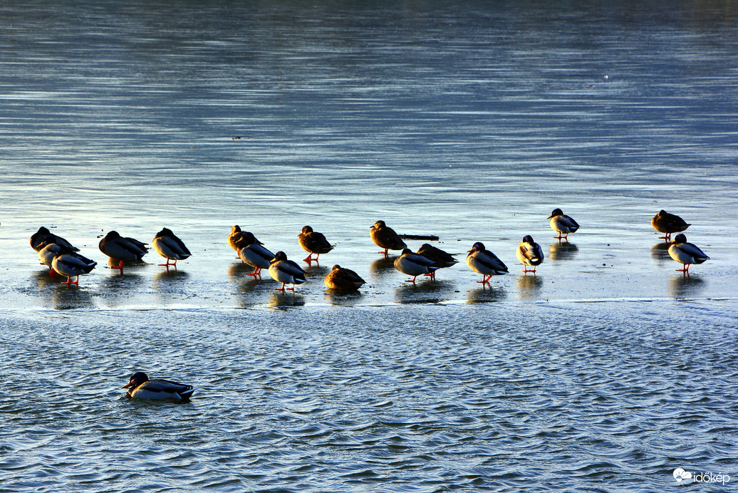 Jegesedés a kőszegi Abért-tónál 01.01.