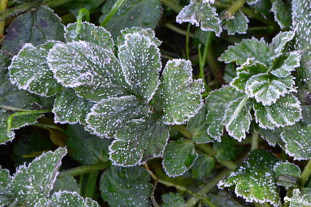 Fagyosan indult a reggel Szombathelyen 11.05.