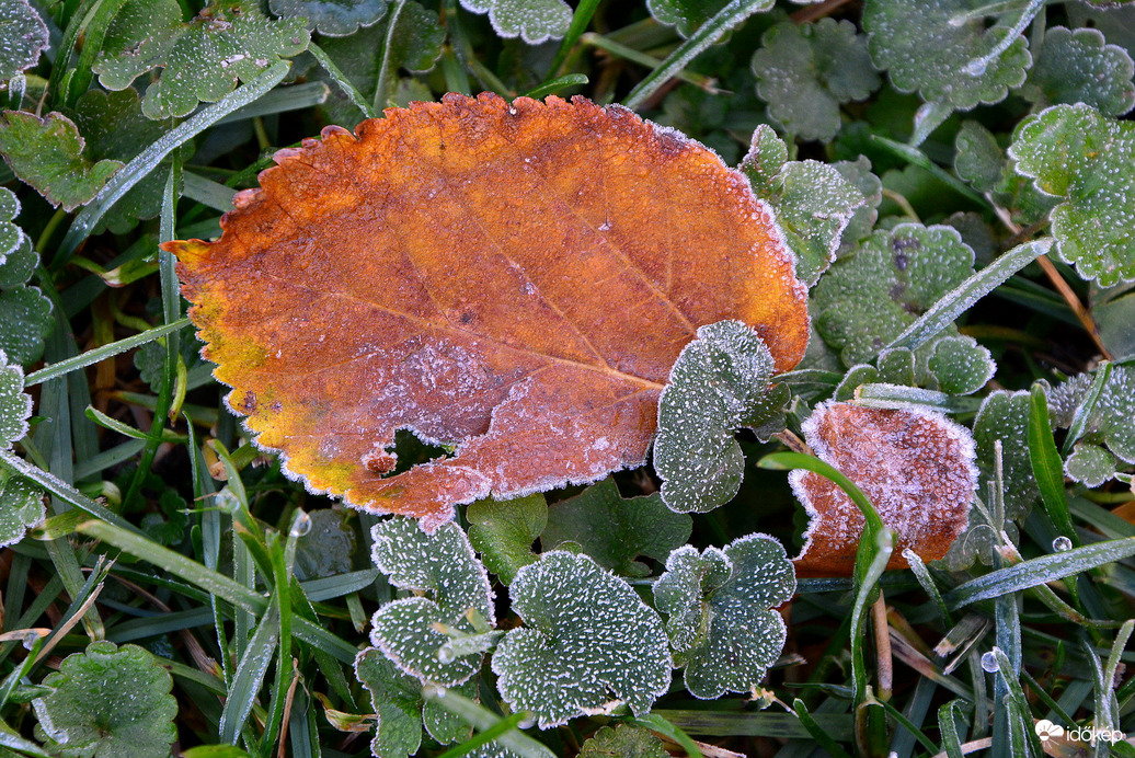 Fagyosan indult a reggel Szombathelyen 11.05.