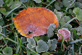 Fagyosan indult a reggel Szombathelyen 11.05.