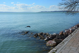 Balatoni csendélet