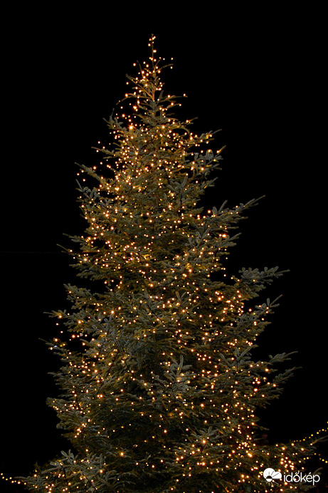 Szombathely Főterén álló karácsonyfája