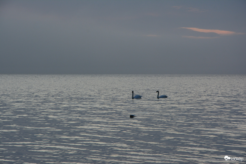 A szürke árnyalatai 11.16.