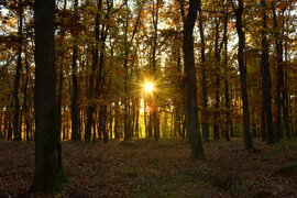 Október végi bekacsintós