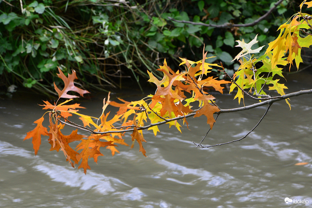 Szombathelyi ősz október első napján