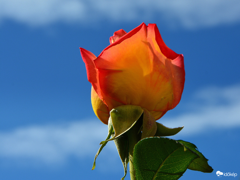 Reggeli szép 05.11.