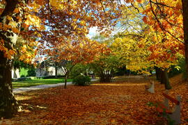 Színes októberi ősz Kőszegen 10.24.