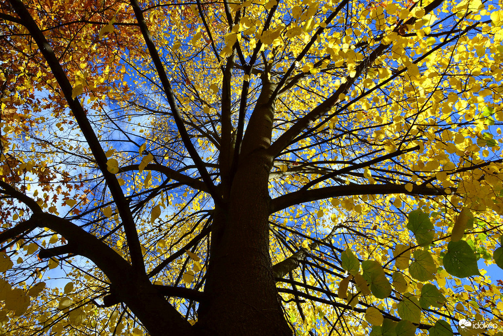 Színes októberi ősz Kőszegen 10.24.