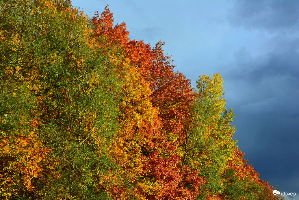 Színek a szürke felhők alatt 10.24.