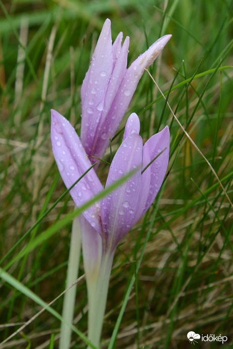 Esőcseppesen 09.24.