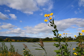 Gomolyfelhős, októberi ősz az Abért-tónál 10.11.