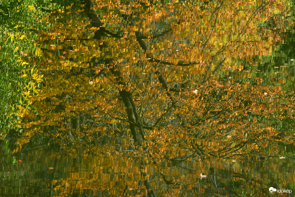 Októberi ősz Szombathelyen 10.14.