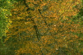 Októberi ősz Szombathelyen 10.14.
