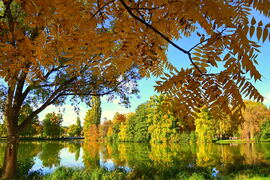 Októberi ősz Szombathelyen 10.14.