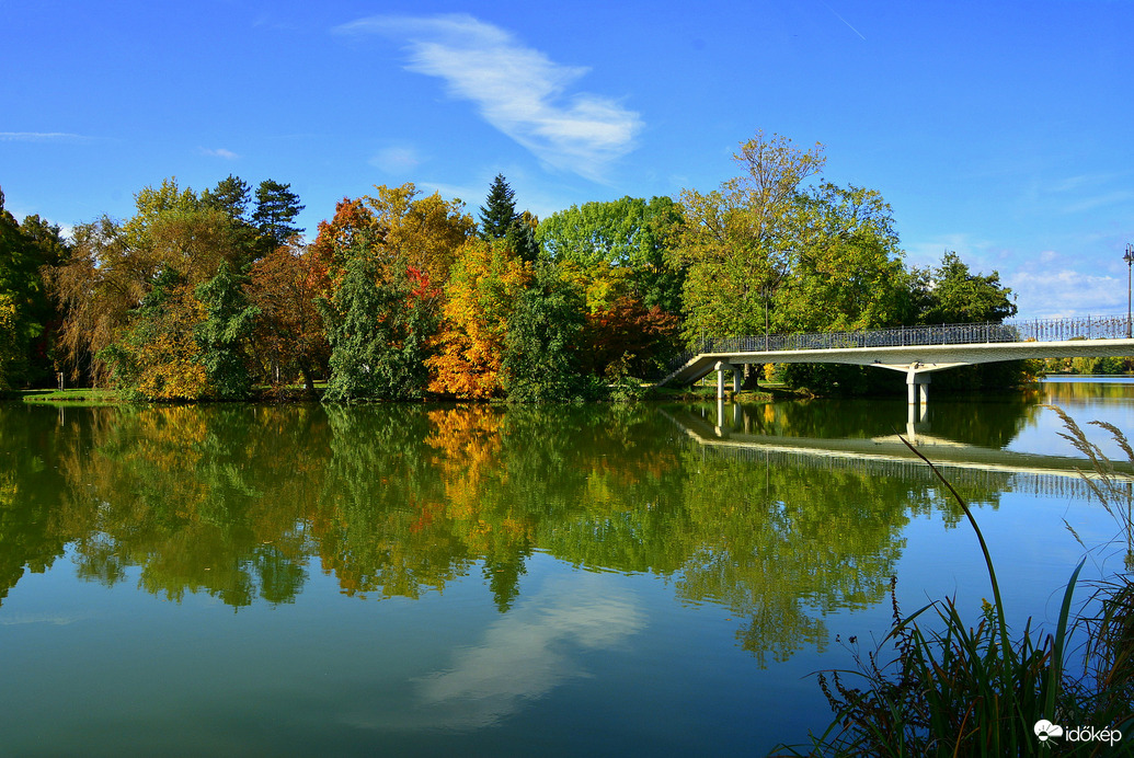 Októberi ősz Szombathelyen 10.14.