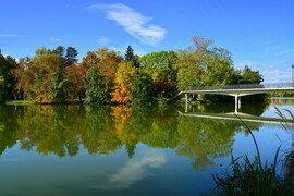Októberi ősz Szombathelyen 10.14.