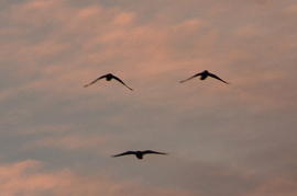 A naplemente mosolya 10.14.