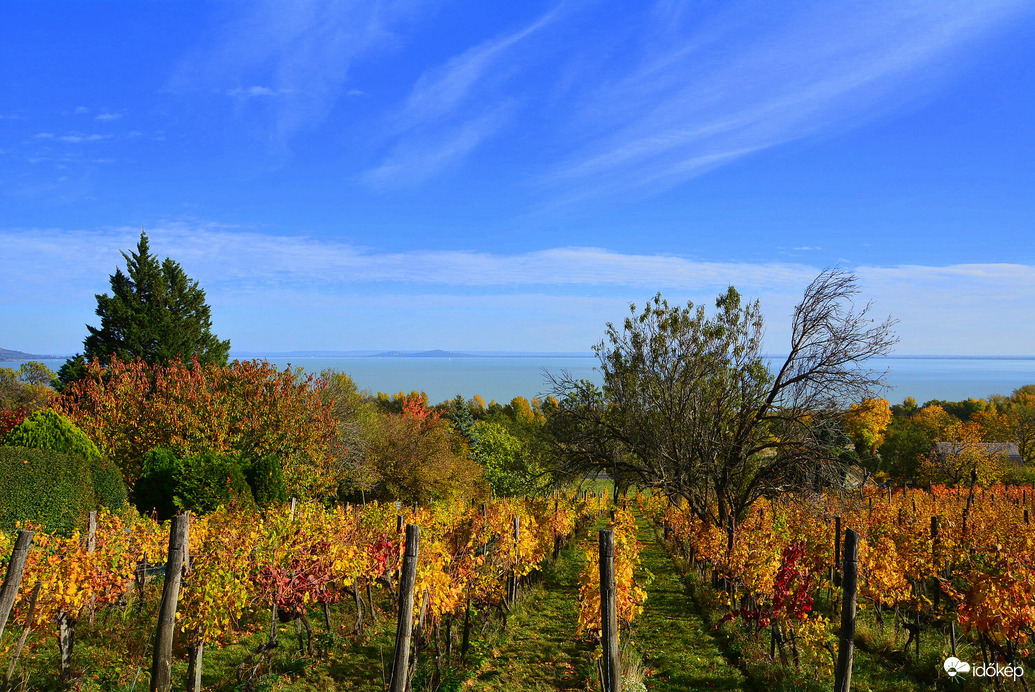 Októberi ősz Balatongyörökön 10.25.