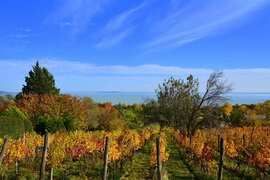 Októberi ősz Balatongyörökön 10.25.