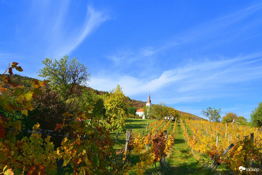 Októberi ősz Balatongyörökön 10.25.