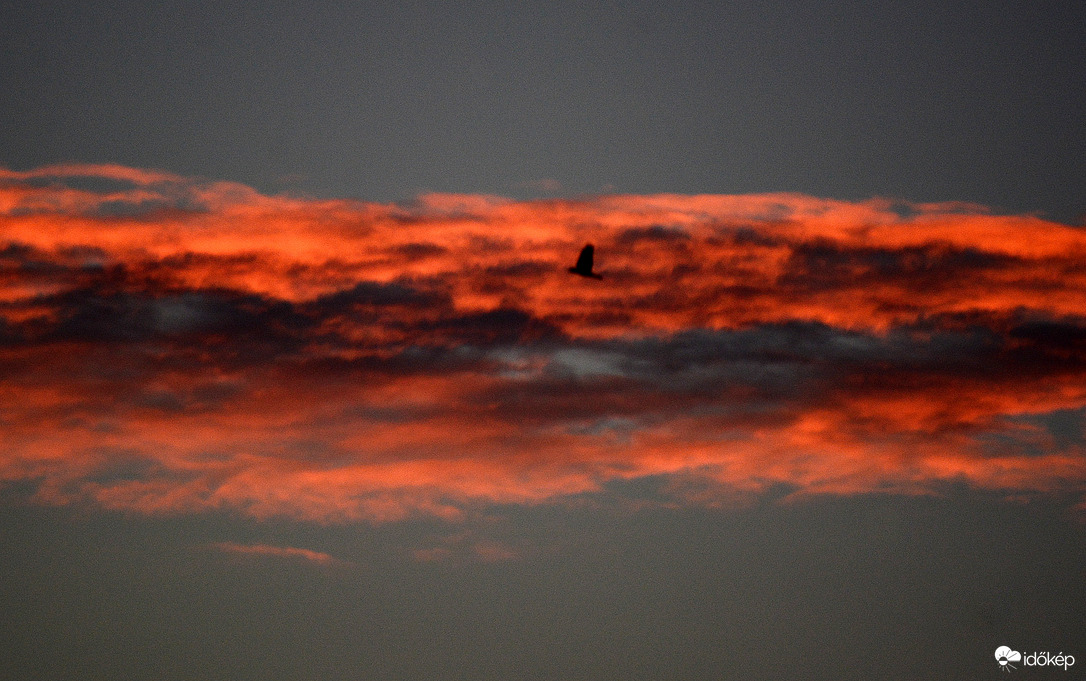 Reggeli szép 11.02.