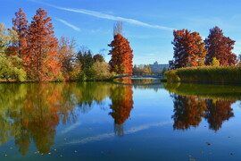 Gyönyörű ősz novemberben Szombathelyen 11.05.