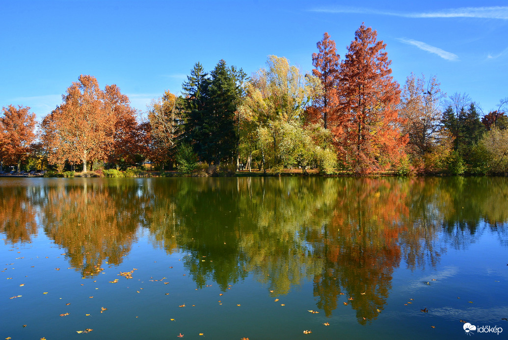 Gyönyörű ősz novemberben Szombathelyen 11.05.