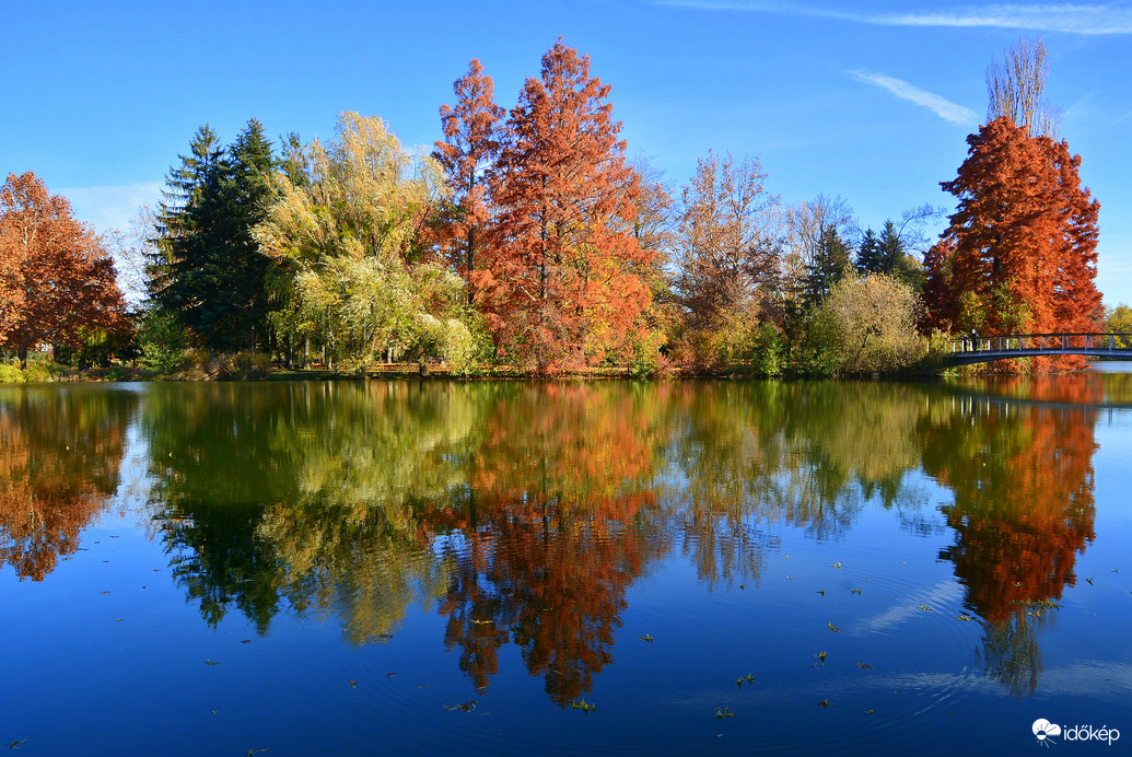 Gyönyörű ősz novemberben Szombathelyen 11.05.