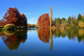 Gyönyörű ősz novemberben Szombathelyen 11.05.