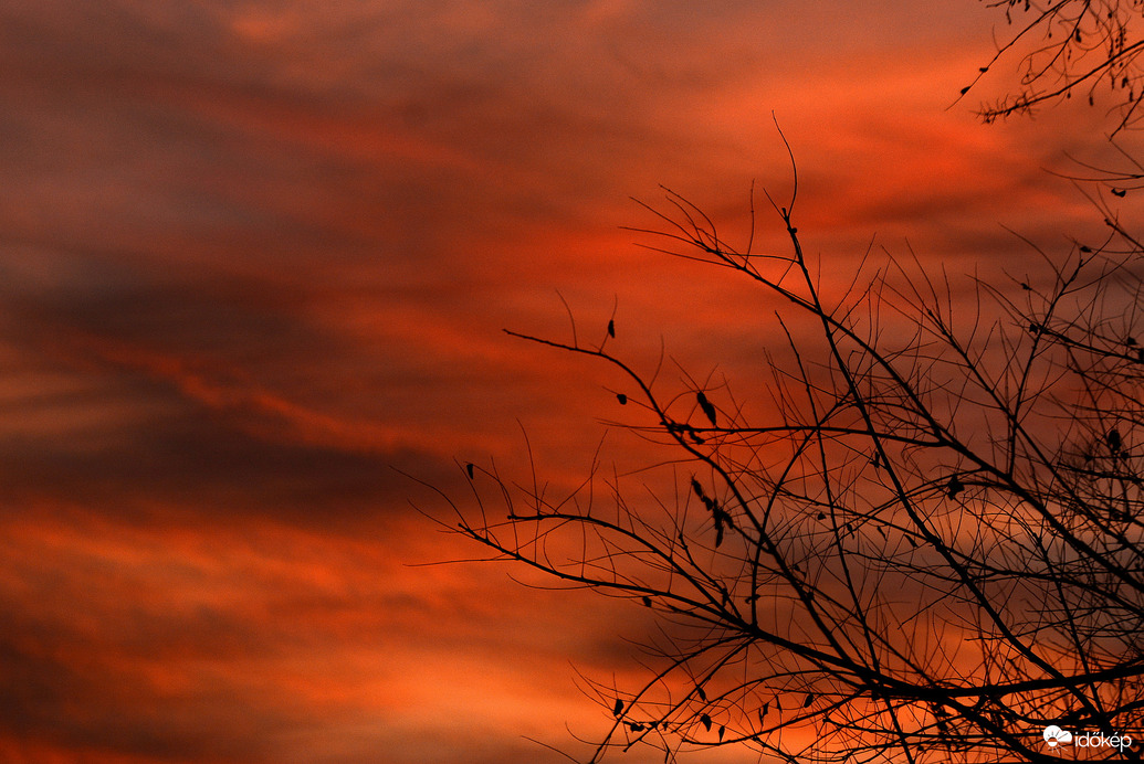 Narancsos naplemente 12.08.