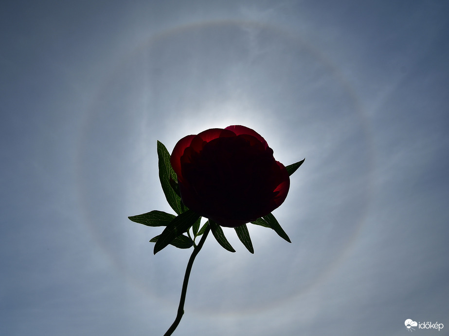 Naphaló jelenleg Szombathely égboltján