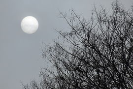 Egy pillanatra előbújt 01.24.