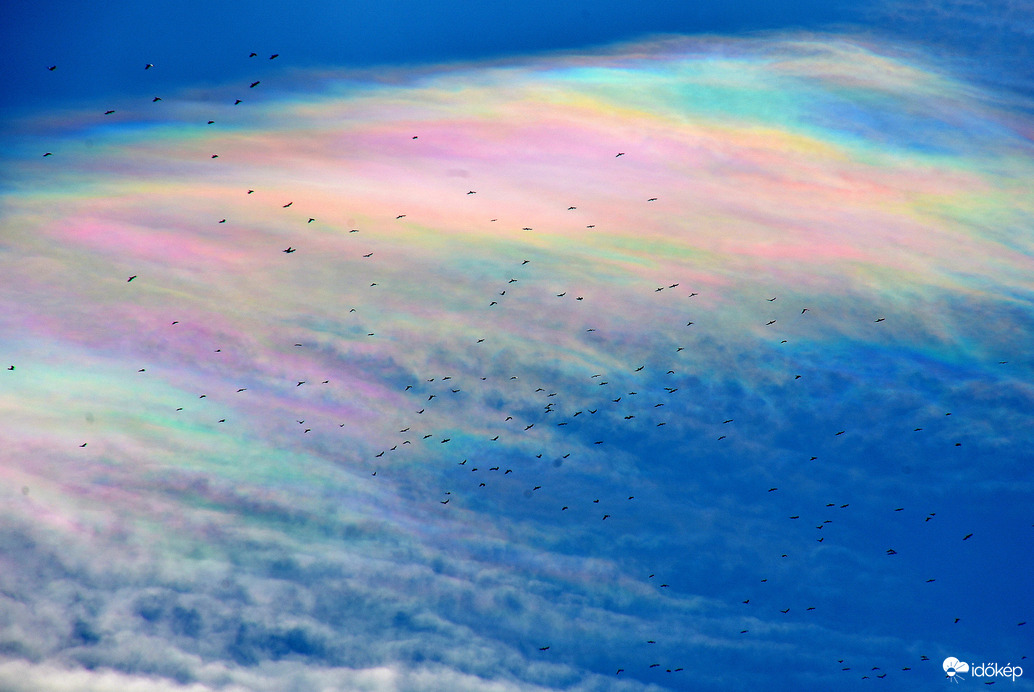 Gyönyörű irizáló felhők madarakkal 02.06.