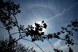 Naphaló Nagypénteken