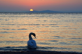 Ma is káprázatosan kelt