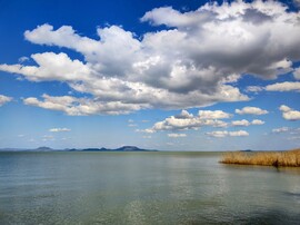 Gomolyos, kissé szeles időben 