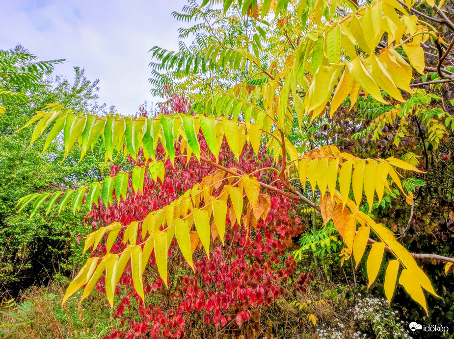 Színek a szürke időjárásban 10.16.