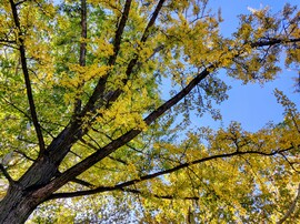 Október végén 10.29.