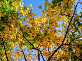 Október végén 10.29.