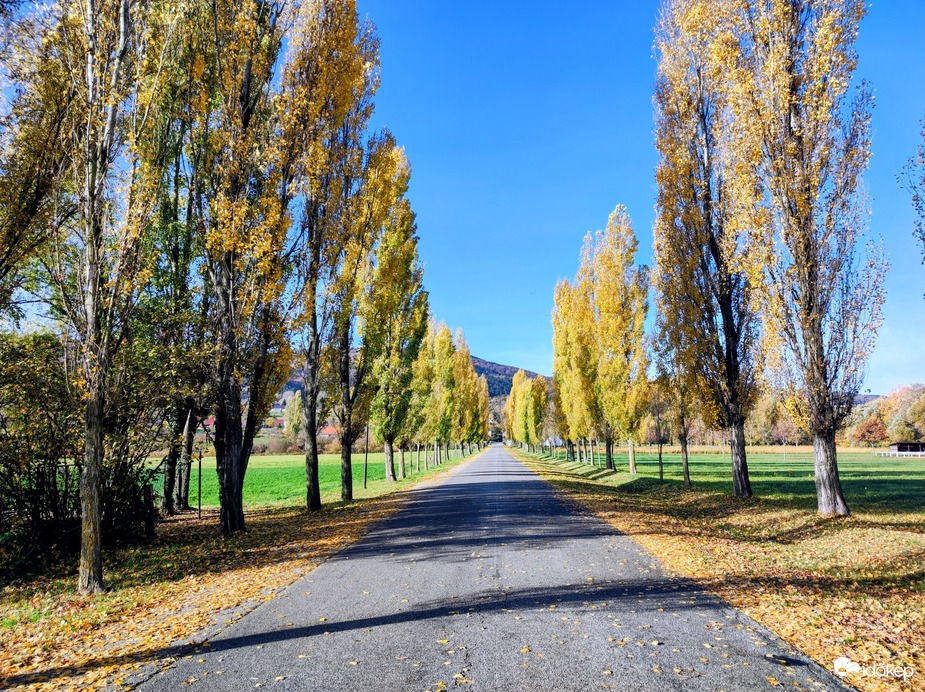 Novemberi ősz 11.02.