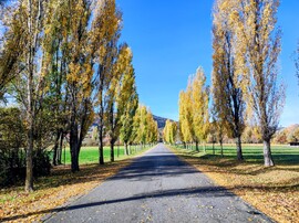 Novemberi ősz 11.02.