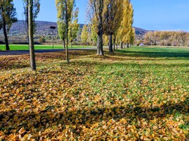 Novemberi ősz 11.02.