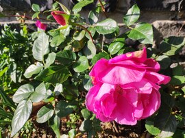 Novemberi ősz 11.02.