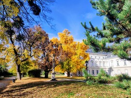 Gyönyörű őszi 11.02.