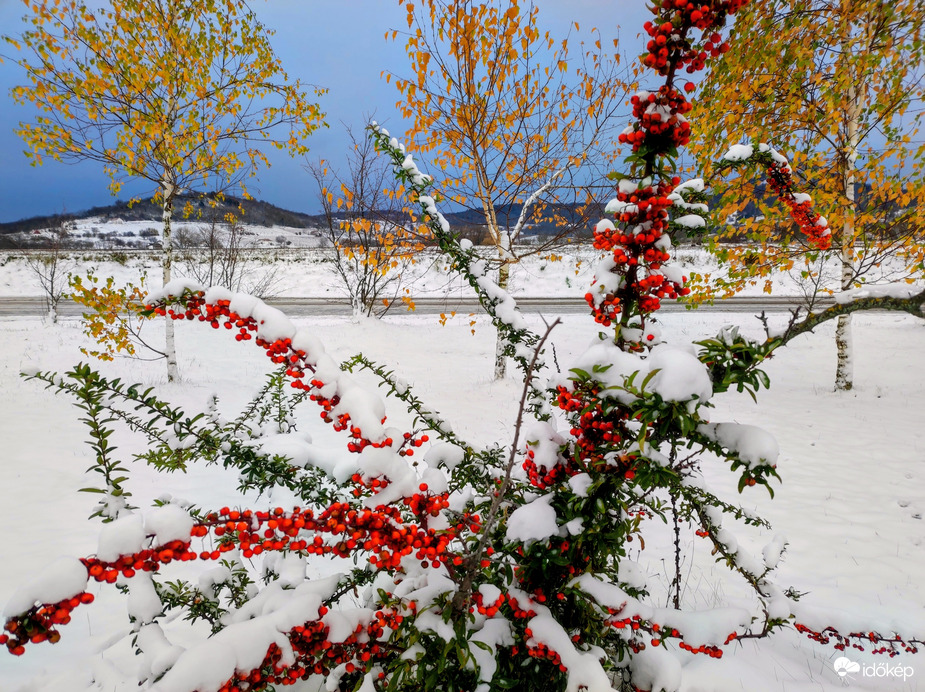 Ősz és tél találkozása 11.23. 