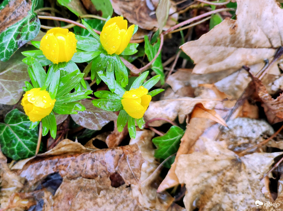 Esőcseppesen 02.07.