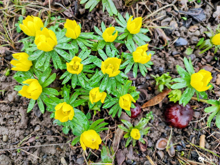 Esőcseppesen 02.07.